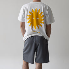 APM Anthracite Bermudas